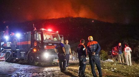 Wildfire in Joshua Tree National Park Sparks New Concerns Among Park Officials Amid Government Shutdown