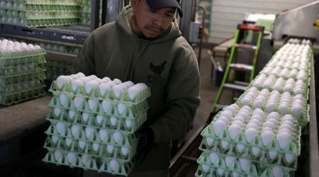 FDA Recalls More Than 6 Million Eggs Over Salmonella Risk — Check if Yours Are Safe