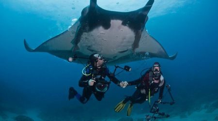 Scientists Collaborated With Fishermen to Design a Brilliant Tool That Saves Manta Rays Trapped in Tuna Nets