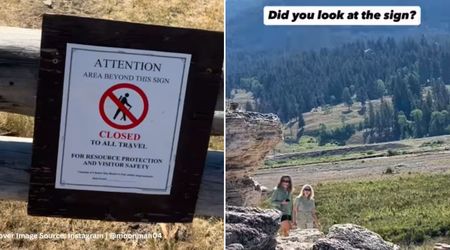 Video Shows Yellowstone Guide Catching Tourists Ignoring Safety Signs in Protected Area