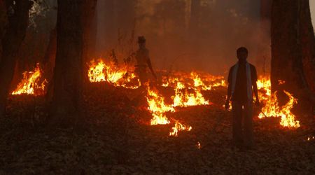 Officials Plan to Set Fire to Vegetation Around Lake Tahoe This Week — and They Have a Good Reason