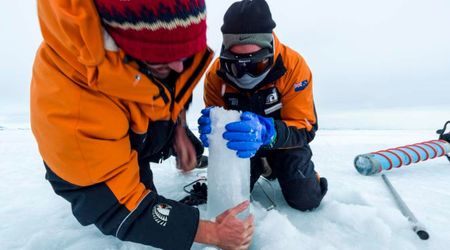 6-Million-Year-Old Ice Found in Antarctica Reveals Earth Was Much Warmer Than Today, With Higher Sea Levels