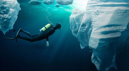 Massive Antarctic Iceberg Breaks Away, Revealing More Than 1,000 Nests Made by Unexpected Creatures