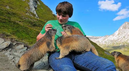 Climate Change Is Pushing This Adorable Rodent Species From Olympic National Park to Extinction