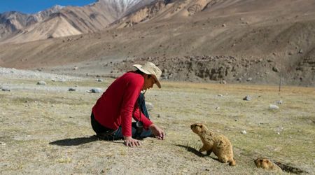 Rocky Mountain National Park’s Ecosystem Suffers Without Beavers — and Experts Blame Two Animals