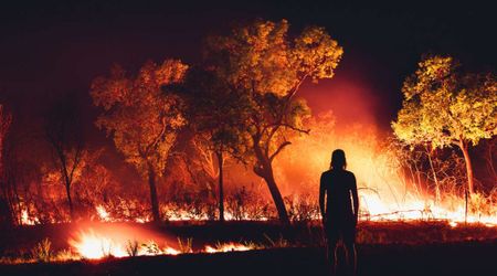 California’s Gaviota State Park Has Caught Fire — and Experts Issue Urgent Warning
