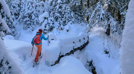 National Park Visitors Spark Outrage After Climbing Risky Snow Bridge: ‘How Reckless Can You Be?’