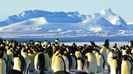 Researchers Embark On Kite Skis in Search of 130,000-Year-Old Ice In Antarctica
