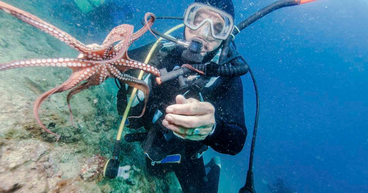 Representative Cover Image Source: Getty Images | Romulic Stojcic