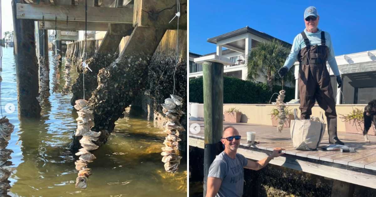 Officials collect oyster shells to create oyster gardens and improve the water quality of Lake Worth Lagoon. (Cover Image Source: Instagram | @westpalmbeachfishingclub)
