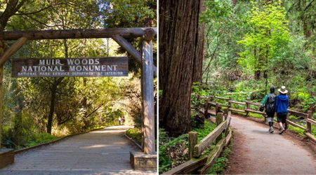 Generous Donations Help Muir Woods Visitors Enjoy the Park a Little Longer — but It Won’t Be Enough
