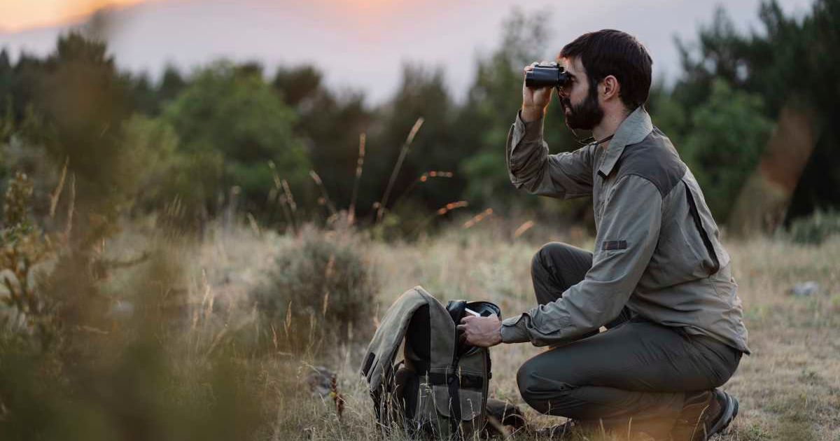 Park Ranger Environmentalist observing wildlife. (Representative Cover Image Source: Getty Images | EF Volart) 