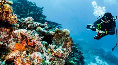 New Study Reveals That Dying Great Barrier Reef Can Be Saved  — but Only Under One Condition