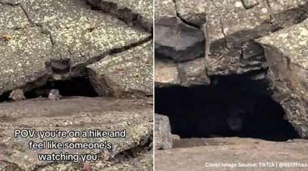 Hiker Left Terrified by an Eerie Face in a Cave in Idaho National Park — Then She Realizes What It Was