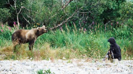 Predators in National Parks Are Helping With Ecosystem Balance — but There’s an Overlooked Problem