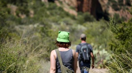 Hikers Left Awestruck by a Rare Wildlife Encounter in Big Bend National Park: ‘We Realized...’