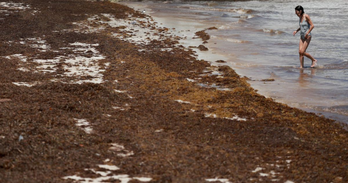 Representative Cover Image Source: Getty Images | Joe Raedle