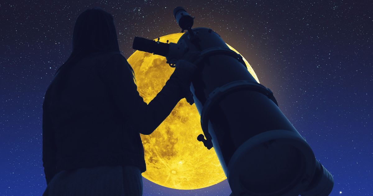 Representative Cover Image Source: Getty Images | m-gucci