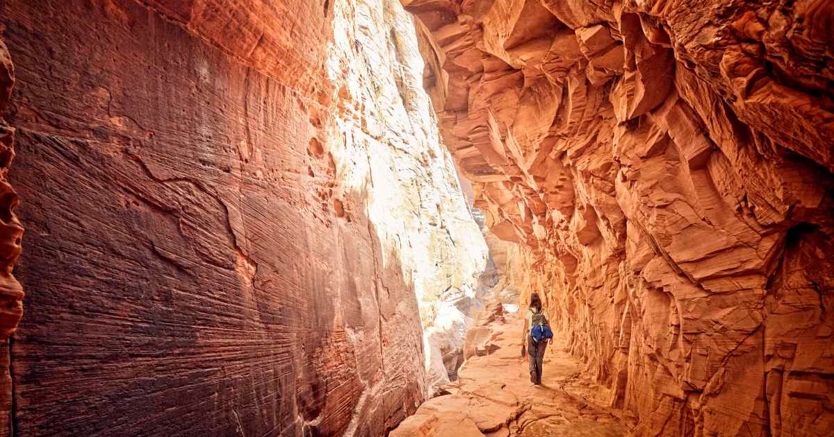 Woman walking through the red cave in Zion National Park (Representative Cover Image Source: Getty Images | James O'Neil)