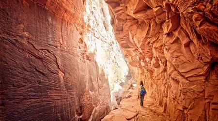 Zion National Park Held a Unique Event That Helped Rebuild and Recover After Government Shutdown