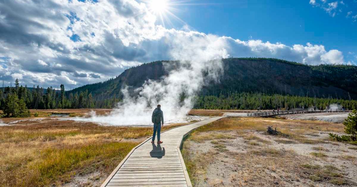 A tourist walking in Yellowstone National Park (Representative Cover Image Source: Getty Images | imageBROKER | Mara Brandl)