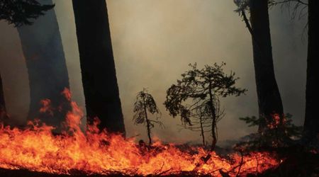 Some Areas in Rocky Mountain National Park Will Be Set on Fire on Wednesday — Here’s How It Helps