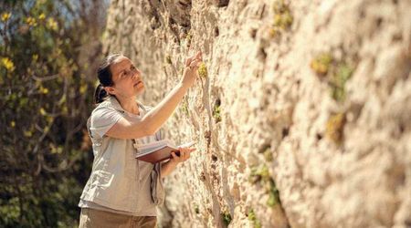 Archaeologists Unearth One of the World's Earliest Cities — a 3,600-Year-Old Site in Kazakhstan