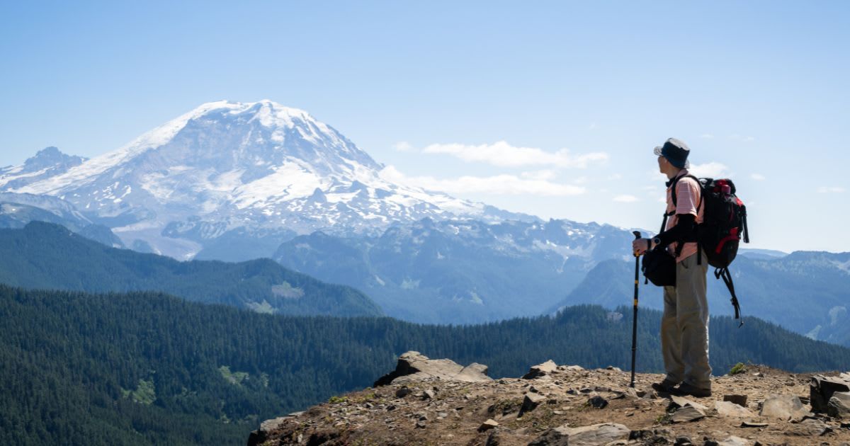 Representative Cover Image Source: Getty Images | Janice Chen