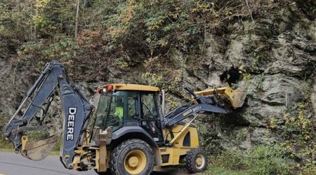 Stranded Black Bear Had to Be Saved From ‘Bear Jam’ in Great Smoky Mountains— Officials Issue Warning