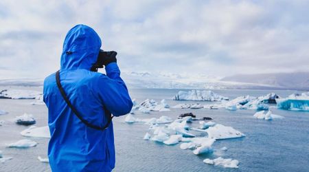 Rare Visuals of a Polar Bear on Top of a Dead Sperm Whale Among Nat Geo's Best Photos of 2025