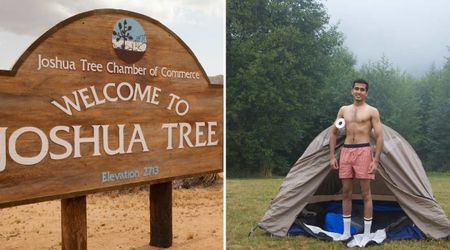 Visitor’s Toilet Paper Mistake Triggered a Fire That Burned up the Trees of Joshua Tree National Park