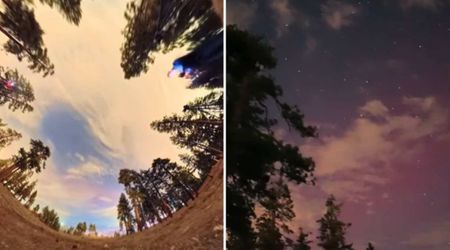 360-Degree Starlapse Video Captures Glowing Northern Lights Lit up in Southern California Skies