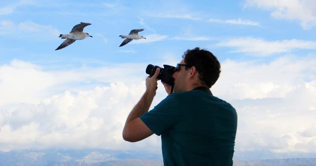 A photographer is taking photos of flying birds. (Representative Cover Image Source: Getty Images | EyeEm Mobile GmbH)