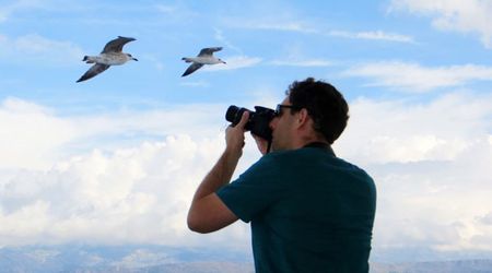 Surreal Shot of Bird Silhouetted Against Summer Sun Wins Top Prize at Nature Talks Photo Festival