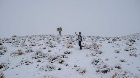 Death Valley Visitors Cautioned as National Park to Experience Record-Breaking Freeze Temperatures