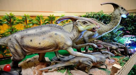 Experts Discover a 75-Million-Year-Old Fossil— Turns Out, It's a New Dinosaur Species