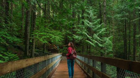 National Park Visitors Get 10 Free Entry Days in 2026 — Here’s the Full List of Dates and Occasions