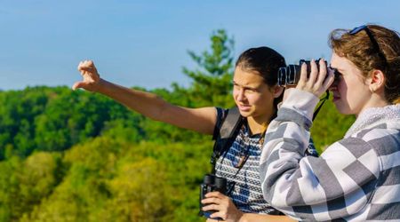 This Outfit Mistake is Causing Huge Amounts of Visitor Injuries in the Great Smoky Mountains