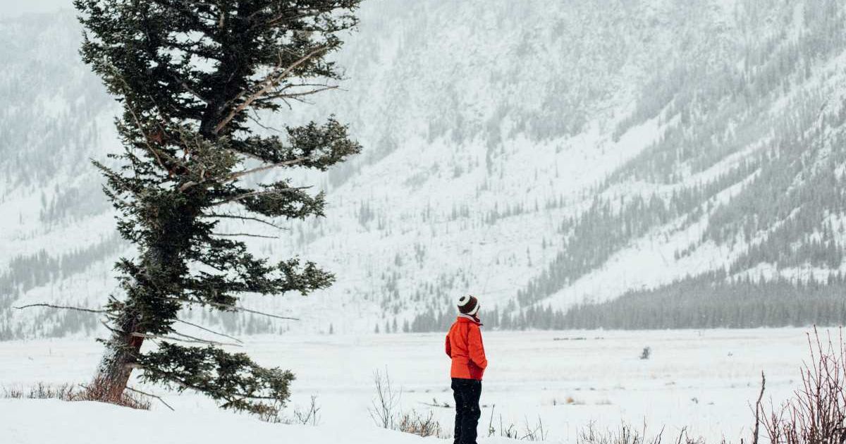 A person observing the scenic winter landscape of Yellowstone National Park. (Representative Cover Image Source: Getty Images | ferrantraite)