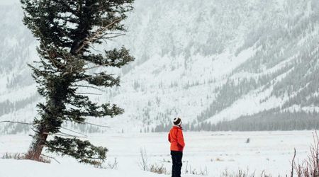 Visiting Yellowstone Soon? A Major Winter Storm Could Disrupt Your Travel Plans