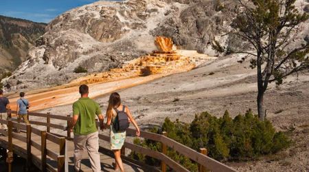 Yellowstone Visitors are Banned from Making This Particular Sound at the Park