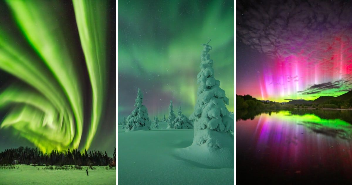 Three of the winning images of 2025’s Northern Lights Photographer of the Year contest, organized by Capture the Atlas (Cover Image Source: Instagram | (L) @marcrasselphoto, (C) @nikkiborn, (R) @travisdamick)