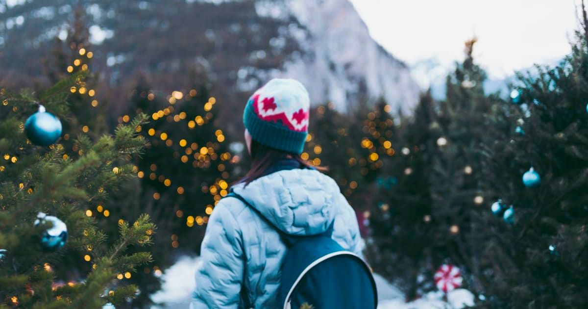 A woman is looking at Christmas lights at a national park  (Representative Image Source: Getty Images | chinaface)
