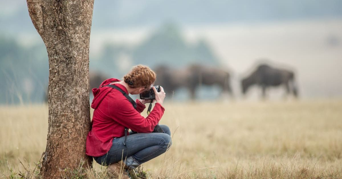 A wildlife photographer capturing a wild herd. (Representative Cover Image Source: Getty Images | Edwin Remsberg)