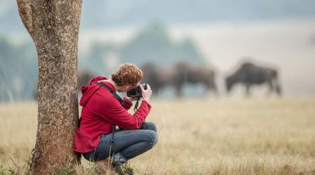 Fairytale-like Picture of a Blue Arctic Fox Wins 2025 National Wildlife Photo Contest