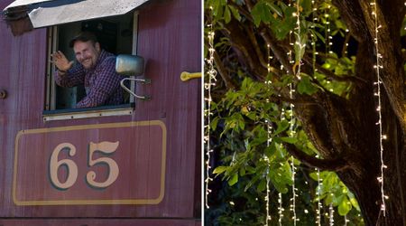 California's Giant Christmas Tree Is One of the World’s Biggest — and You Can Only Reach It by This Train