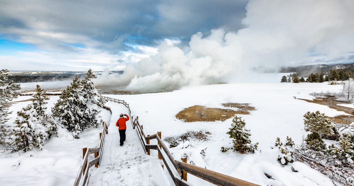 A person walking on Yellowstone National Park's boardwalk in the winter (Representative Cover Image Source: Getty Images | Jordan Siemens)