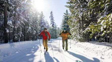 This Common Fabric May Be Unsafe for Winter Visits to Yellowstone, Officials Say