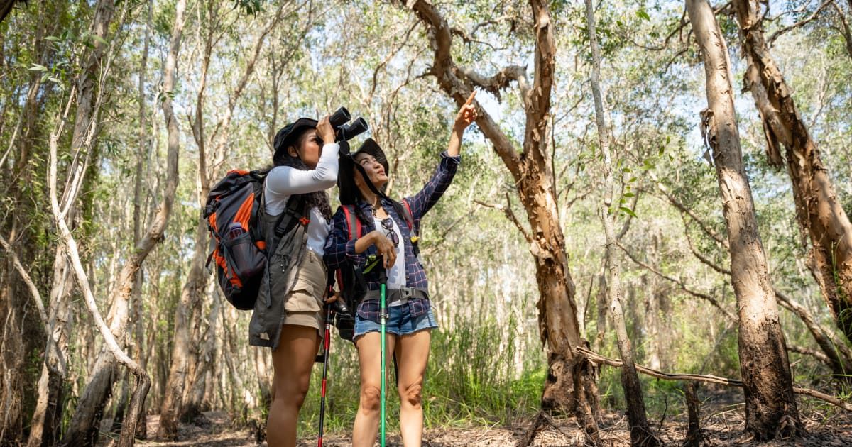 Two women are trying to spot birds with their binoculars (Representative Cover Image Source: Getty Images | Twenty47 Studio)