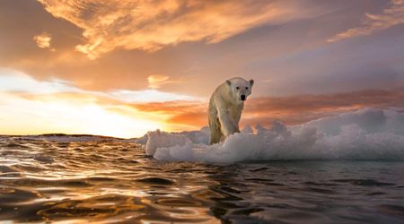 'World's Refrigerator' in Trouble? 2025 Arctic Report Card Warns of Intense Warming, Rapid Ice Loss